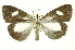  (Argentala - INB0003047915)  @14 [ ] Copyright (2012) Juan Mata Lorenzen Unspecified