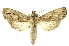  ( - INB0003050089)  @14 [ ] Copyright (2012) Juan Mata Lorenzen Unspecified