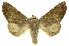  ( - INB0003052677)  @14 [ ] Copyright (2012) Juan Mata Lorenzen INBio