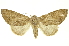  ( - INB0003052689)  @13 [ ] Copyright (2012) Juan Mata Lorenzen INBio