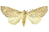  ( - INB0003052689)  @13 [ ] Copyright (2012) Juan Mata Lorenzen INBio