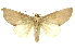  ( - INB0003055298)  @15 [ ] Copyright (2012) Juan Mata Lorenzen Unspecified