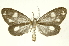 ( - INB0003056100)  @14 [ ] Copyright (2012) Juan Mata Lorenzen INBio