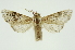  ( - INB0003072438)  @11 [ ] Copyright (2012) Juan Mata Lorenzen Unspecified