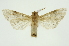  ( - INB0003072438)  @11 [ ] Copyright (2012) Juan Mata Lorenzen Unspecified