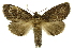  ( - INB0003072711)  @13 [ ] Copyright (2012) Juan Mata Lorenzen Unspecified