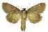  ( - INB0003072711)  @13 [ ] Copyright (2012) Juan Mata Lorenzen Unspecified