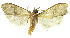  ( - INB0003072836)  @12 [ ] CreativeCommons - Attribution Non-Commercial Share-Alike (2012) National Biodiversity Institute of Costa Rica National Biodiversity Institute of Costa Rica