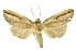  ( - INB0003074761)  @11 [ ] Copyright (2012) Juan Mata Lorenzen Unspecified