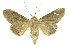  ( - INB0003074817)  @11 [ ] Copyright (2012) Juan Mata Lorenzen Unspecified