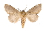  ( - INB0003074828)  @11 [ ] Copyright (2012) I. Chacon Instituto Nacional de Biodiversidad