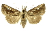  ( - INB0003078261)  @11 [ ] Copyright (2012) Juan Mata Lorenzen Unspecified