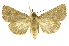  ( - INB0003078261)  @11 [ ] Copyright (2012) Juan Mata Lorenzen Unspecified