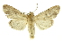  ( - INB0003079819)  @11 [ ] Copyright (2012) Juan Mata Lorenzen Unspecified