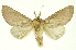  ( - INB0003080695)  @14 [ ] Copyright (2012) Juan Mata Lorenzen INBio