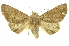  ( - INB0003080703)  @14 [ ] Copyright (2012) Juan Mata Lorenzen INBio
