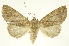  ( - INB0003085422)  @14 [ ] Copyright (2012) J. Montero INBio