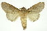  ( - INB0003085432)  @11 [ ] Copyright (2012) Juan Mata Lorenzen Unspecified