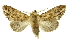  ( - INB0003087333)  @11 [ ] Copyright (2012) Juan Mata Lorenzen Unspecified