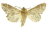  ( - INB0003087333)  @11 [ ] Copyright (2012) Juan Mata Lorenzen Unspecified