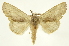  ( - INB0003087448)  @11 [ ] Copyright (2012) Juan Mata Lorenzen Unspecified