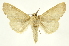  ( - INB0003087448)  @11 [ ] Copyright (2012) Juan Mata Lorenzen Unspecified