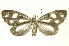  ( - INB0003087510)  @13 [ ] Copyright (2012) Juan Mata Lorenzen INBio