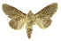  ( - INB0003088265)  @11 [ ] Copyright (2012) Juan Mata Lorenzen Unspecified