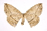  ( - INB0003088295)  @14 [ ] Copyright (2012) I. Chacon Instituto Nacional de Biodiversidad