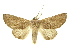  ( - INB0003089166)  @14 [ ] Copyright (2012) Juan Mata Lorenzen INBio