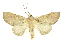  ( - INB0003089166)  @14 [ ] Copyright (2012) Juan Mata Lorenzen INBio
