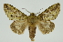  ( - INB0003116404)  @14 [ ] Copyright (2012) Juan Mata Lorenzen Unspecified