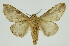  ( - INB0003116404)  @13 [ ] Copyright (2012) Juan Mata Lorenzen Unspecified