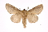  ( - INB0003116411)  @11 [ ] Copyright (2012) I. Chacon Instituto Nacional de Biodiversidad