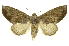  ( - INB0003116420)  @14 [ ] Copyright (2012) Juan Mata Lorenzen INBio