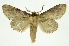 ( - INB0003116526)  @11 [ ] Copyright (2012) Juan Mata Lorenzen Unspecified
