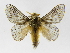  ( - INB0003116552)  @15 [ ] Copyright (2012) J. Montero Instituto Nacional de Biodiversidad