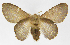  ( - INB0003116554)  @12 [ ] Copyright (2012) J. Montero Instituto Nacional de Biodiversidad