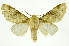  ( - INB0003116576)  @11 [ ] Copyright (2012) Juan Mata Lorenzen Unspecified