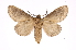  ( - INB0003116587)  @11 [ ] Copyright (2012) I. Chacon Instituto Nacional de Biodiversidad