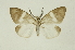  ( - INB0003116588)  @11 [ ] Copyright (2012) Juan Mata Lorenzen Unspecified