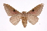  ( - INB0003120534)  @14 [ ] Copyright (2012) I. Chacon Instituto Nacional de Biodiversidad