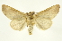  ( - INB0003120615)  @13 [ ] Copyright (2012) Juan Mata Lorenzen Unspecified