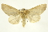  ( - INB0003120645)  @13 [ ] Copyright (2012) Juan Mata Lorenzen Unspecified