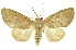  ( - INB0003120647)  @11 [ ] Copyright (2012) Juan Mata Lorenzen INBio