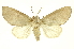  ( - INB0003120647)  @11 [ ] Copyright (2012) Juan Mata Lorenzen INBio