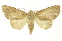 ( - INB0003120649)  @14 [ ] Copyright (2012) Juan Mata Lorenzen INBio