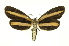  ( - INB0003120684)  @11 [ ] Copyright (2012) Juan Mata Lorenzen Unspecified