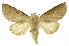  ( - INB0003121048)  @14 [ ] Copyright (2012) Juan Mata Lorenzen Unspecified