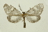  ( - INB0003123065)  @11 [ ] Copyright (2012) Juan Mata Lorenzen Unspecified